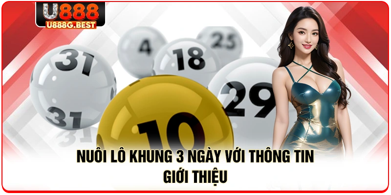 Nuôi lô khung 3 ngày với thông tin giới thiệu