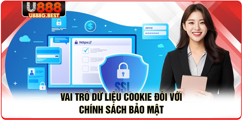 Vai trò dữ liệu cookie đối với chính sách bảo mật 